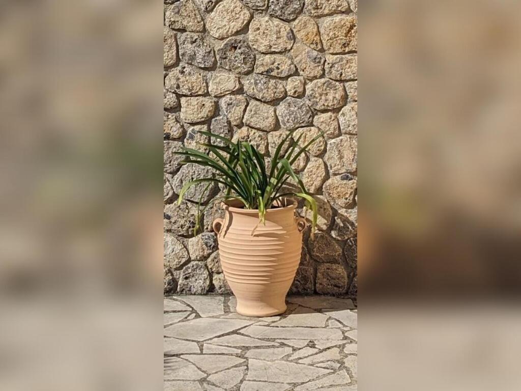Villa Kalokairi Áfra Exteriör bild